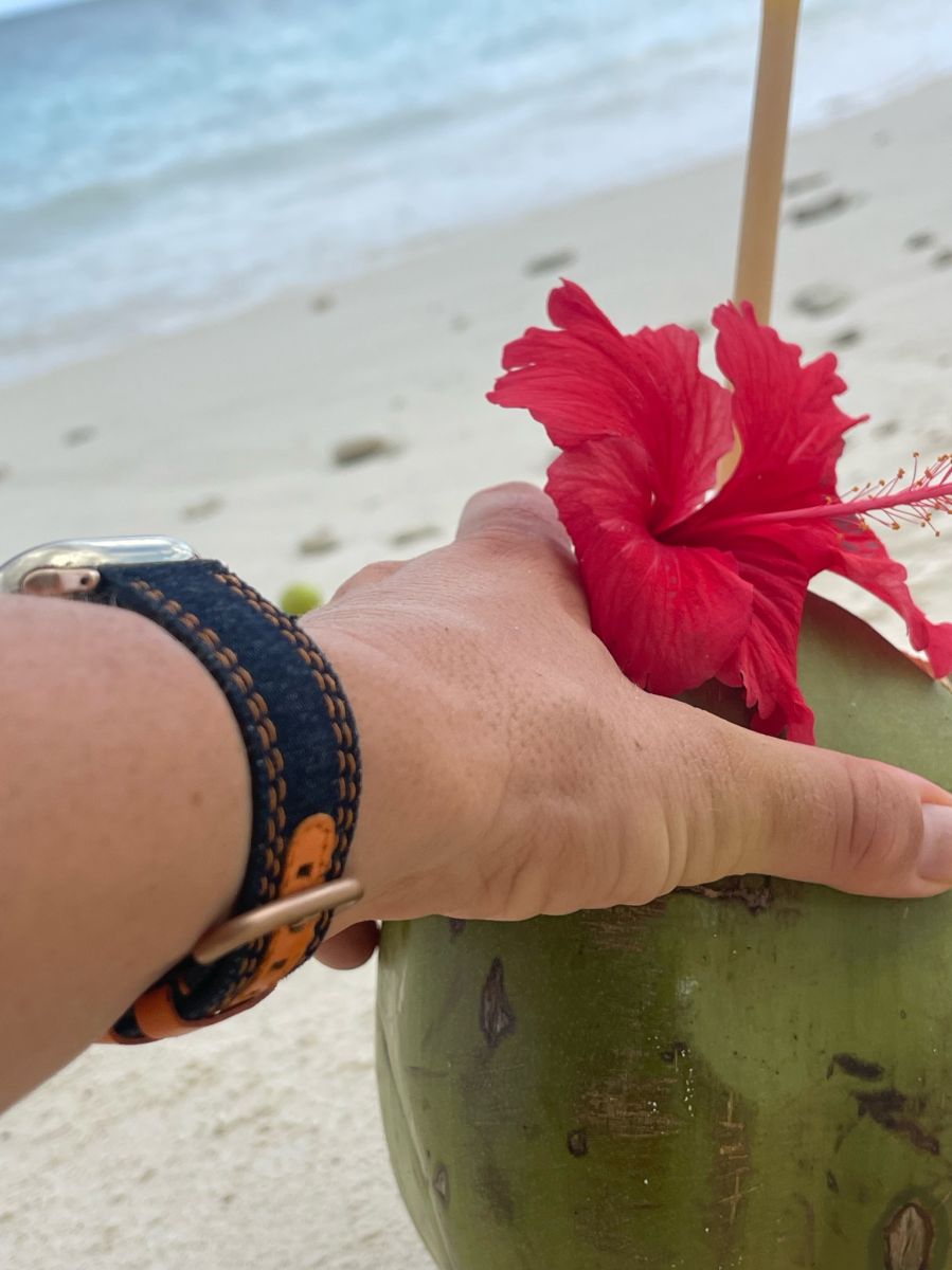Blue Japanese Denim Safari style Strap for Apple Watch All Series